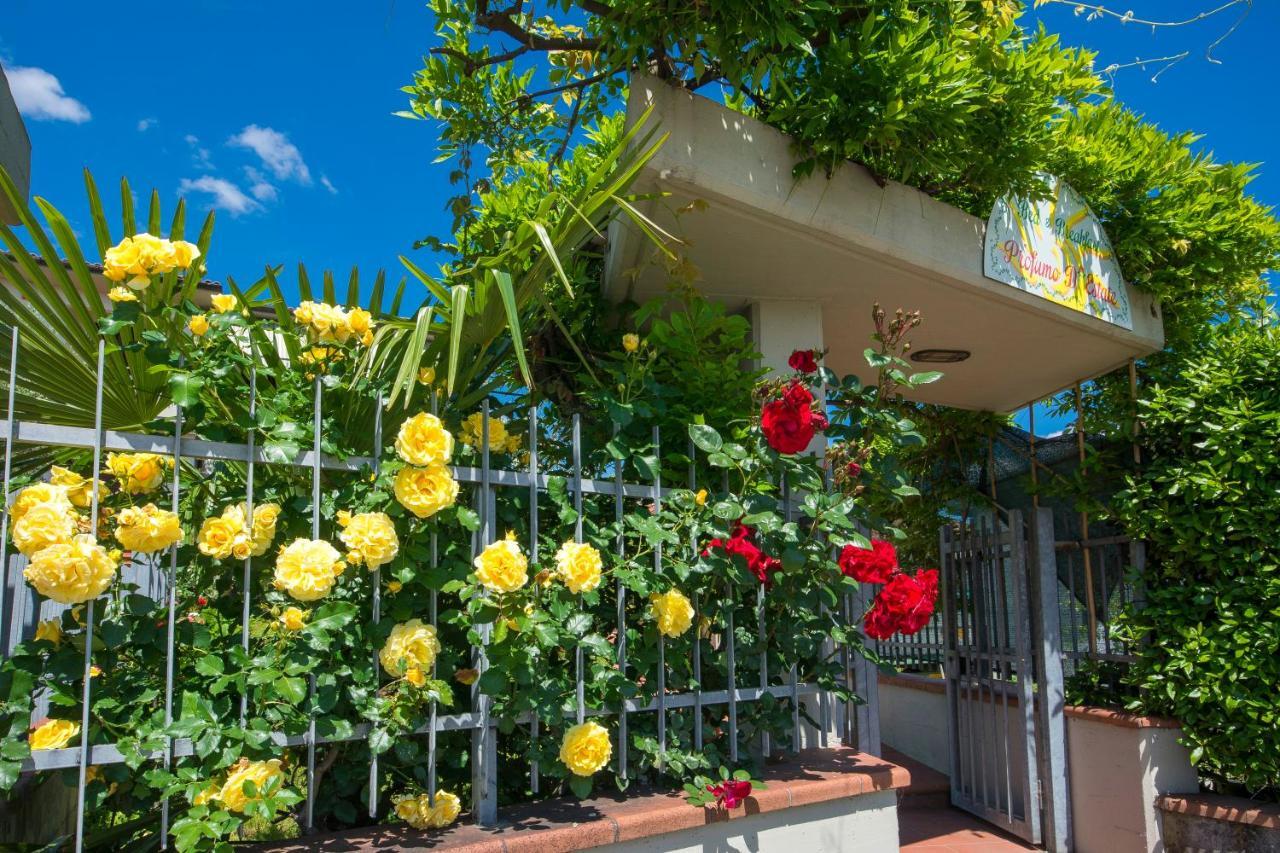 Agliana Bed & Breakfast Profumo D'Estate المظهر الخارجي الصورة